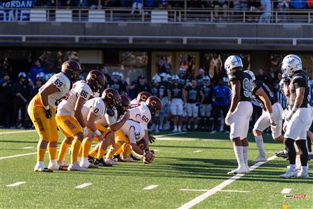 RSEQ - 2023 Football - Université de Montréal (14) vs (16) Concordia University