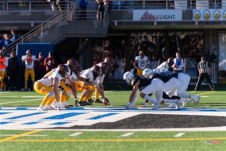 RSEQ - 2023 Football - Université de Montréal (14) vs (16) Concordia University