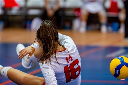 RSEQ - 2023 Volley F - Université de Montréal (1) vs (3) McGill University - R4