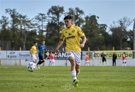 AFA - 1B - FLANDRIA (2) VS (1) Brown PM