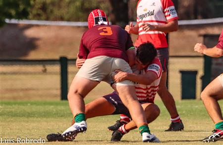 Areco Rugby Club vs Newman (Inter)