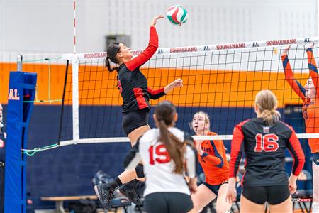 RSEQ - 2023 Volley F Coll D1 - André Laurendeau (0) vs (3) Édouard-Montpetit