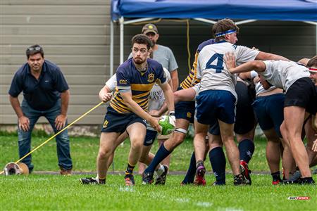 Rugby Québec (M2) - SABRFC (33) vs (13) Town of Mount Royal