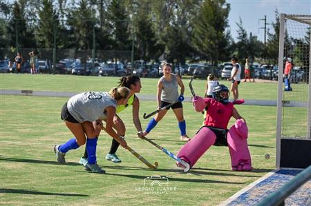 Zucaritas Hockey
