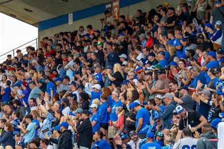 RSEQ Football Universitaire - Carabins-UdM (43) vs (11) Redbirds-McGill - Cheerleading - Crowd - Hal
