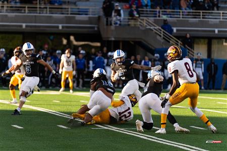 RSEQ - 2023 Football - Université de Montréal (14) vs (16) Concordia University