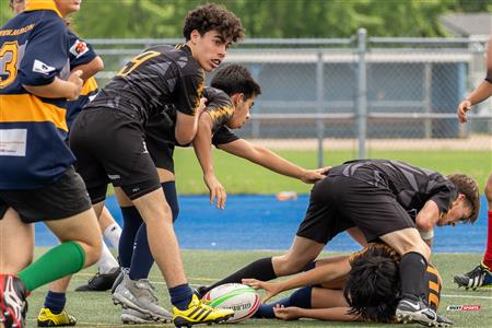 Rugby Québec - Tournoi des Régions - Montréal-Bourassa vs Rive-Sud