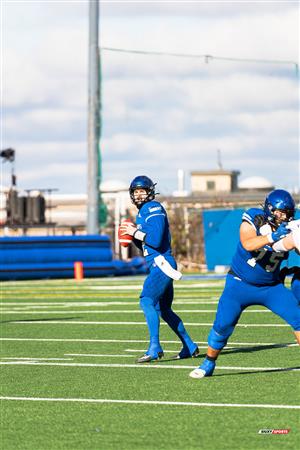 U SPORTS Uteck Bowl - Carabins (29) vs (3) Mustangs - Reel Game