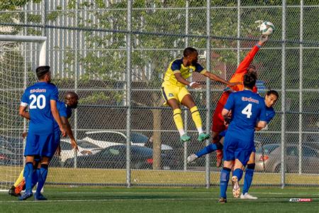PLSQ - CS Longueil (0) vs (0) VS CS Mont-Royal Outremont