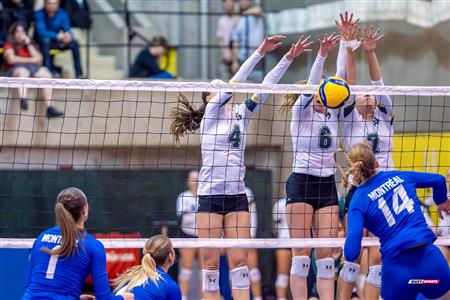 RSEQ - 2023 Volley F - UDM (0) vs (3) U. de Sherbrooke