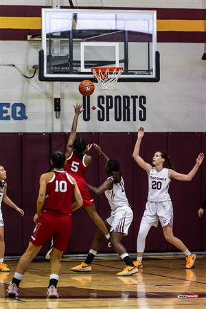RSEQ - 2023 Basketball F - Concordia (55) vs (37) McGill