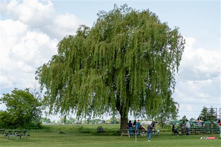 RUGBY QC 2023 (W) - Montreal Irish RFC (17) VS (67) Abénakis de Sherbrooke