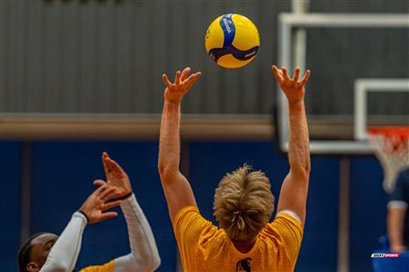 Volleyball - Carabins vs Warriors - Hors Championnat 