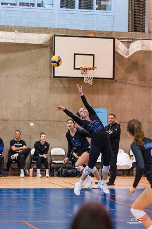 RSEQ - 2023 Volley F - Université de Montréal (3) vs (1) McGill University