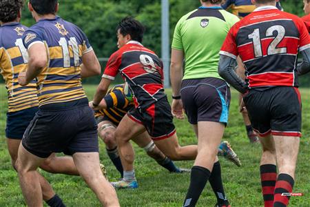 RUGBY QC 2023 (M2) - TMR RFC () vs () Beaconsfield RFC