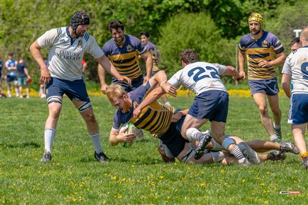RUGBY QC 2023 (M)(Res) - TMR RFC (15) VS (31) SABRFC - Game