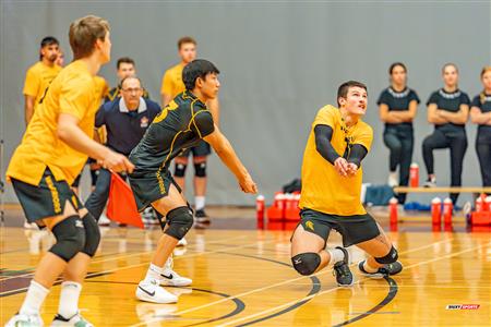 Volleyball - Carabins vs Warriors - Hors Championnat 