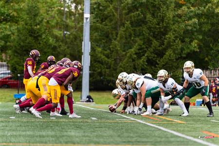 RSEQ - 2023 Football - Concordia(39) vs (7) Sherbrooke