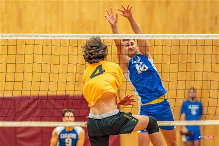 Volleyball - Carabins vs Warriors - Hors Championnat 