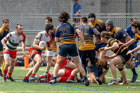 PARCO Tournoi A.Stefu 2023 - Town of Mount-Royal vs Rugby Club de Montréal