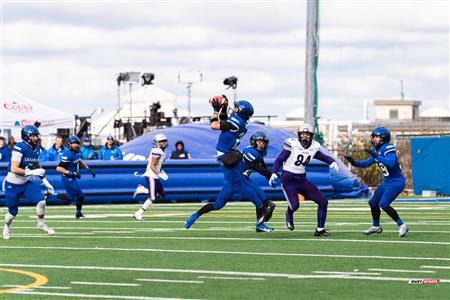 U SPORTS Uteck Bowl - Carabins (29) vs (3) Mustangs - Reel Game