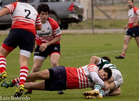 URBA 2023 - 1RA C - ARECO RC (45) VS (31) St. Brendan's RC