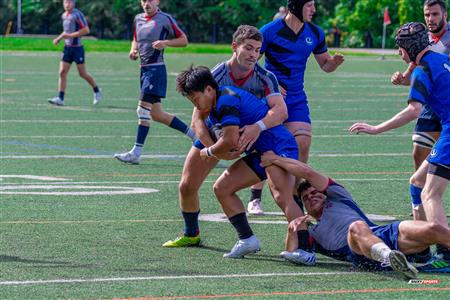 RSEQ 2023 RUGBY - UdM Carabins (7) vs ETS Piranhas (40)
