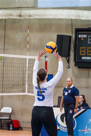 RSEQ - 2023 Volley F - Université de Montréal (3) vs (1) McGill University