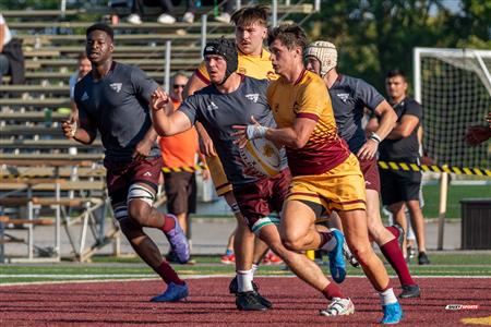 RSEQ 2023 RUGBY M - Concordia Stingers (40) VS (31) Ottawa Gee Gees - 2nd Half