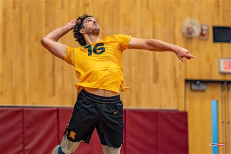 Volleyball - Carabins vs Warriors - Hors Championnat 