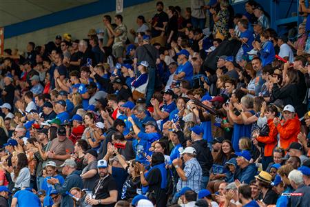 RSEQ Football Universitaire - Carabins-UdM (43) vs (11) Redbirds-McGill - Cheerleading - Crowd - Hal