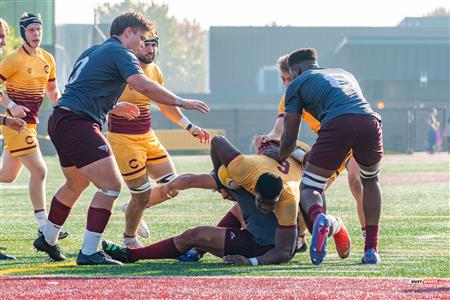 RSEQ 2023 RUGBY M - Concordia Stingers (40) VS (31) Ottawa Gee Gees - 2nd Half