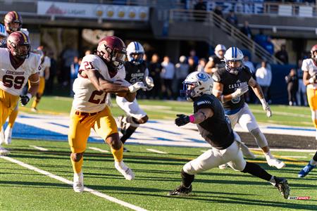 RSEQ - 2023 Football - Université de Montréal (14) vs (16) Concordia University