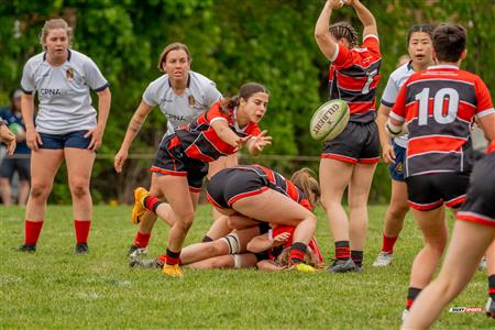 RUGBY QC 2023 (W1) - Beaconsfield RFC (7) VS (38) SABRFC