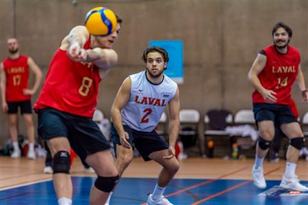 RSEQ - 2023 VOLLEY M - UNIVERSITÉ DE MONTRÉAL (3) VS (0) UNIVERSITÉ LAVAL