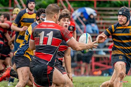 RUGBY QC 2023 (M1) - TMR RFC (14) vs (15) Beaconsfield RFC