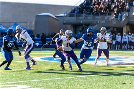 U SPORTS Uteck Bowl - Carabins (29) vs (3) Mustangs - Reel Game