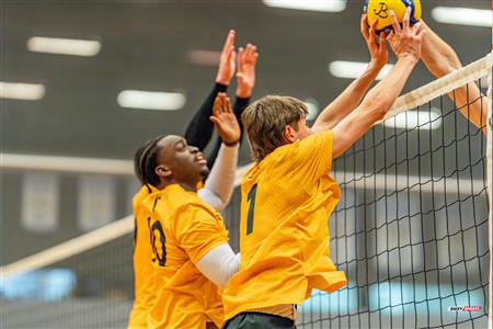 Volleyball - Carabins vs Warriors - Hors Championnat 