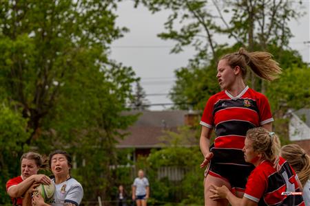 RUGBY QC 2023 (W1) - Beaconsfield RFC (7) VS (38) SABRFC