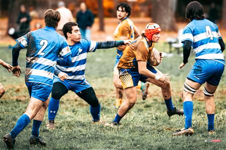RSEQ - 2023 RUGBY M - DAWSON (0) VS (30) JOHN ABBOTT