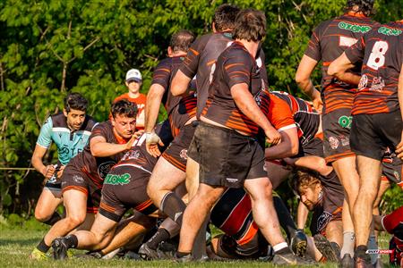 RUGBY QC 2023 (M1) - Beaconsfield RFC (21) VS (20) Club de Rugby de Québec