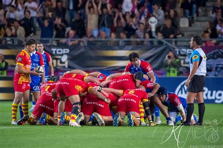 2023 - Access Match - FC Grenoble (19) vs (33) US Arlequins Perpignananais