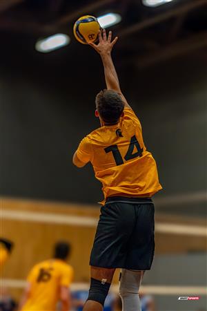 Volleyball - Carabins vs Warriors - Hors Championnat 