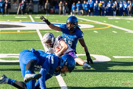 U SPORTS Uteck Bowl - Carabins (29) vs (3) Mustangs - Reel Game