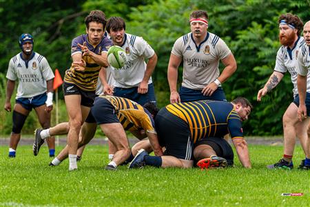 Rugby Québec (M2) - SABRFC (33) vs (13) Town of Mount Royal