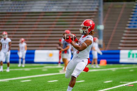 RSEQ Football Universitaire - Carabins-UdM (43) vs (11) Redbirds-McGill - Avant Match