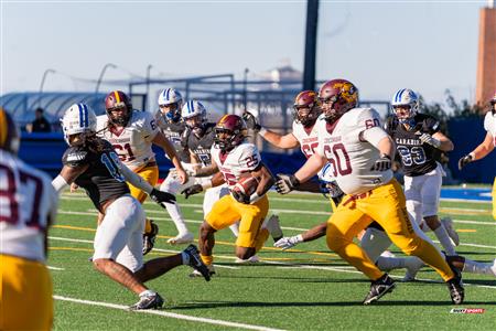 RSEQ - 2023 Football - Université de Montréal (14) vs (16) Concordia University