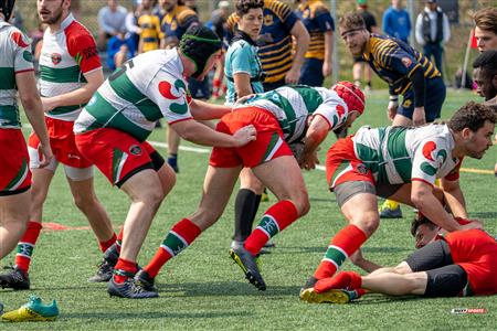 PARCO Tournoi A.Stefu 2023 - Town of Mount-Royal vs Rugby Club de Montréal