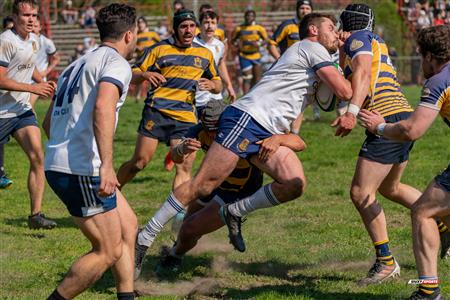 RUGBY QC 2023 (M) - TMR RFC (31) VS (10) SABRFC - Game 2nd half