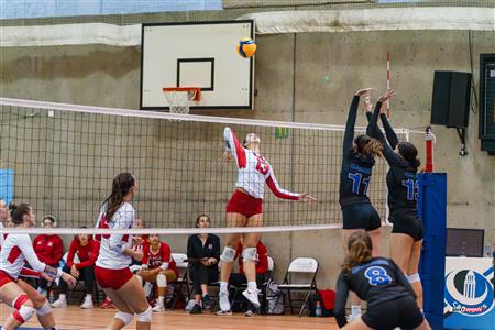 RSEQ - 2023 Volley F - Université de Montréal (3) vs (1) McGill University